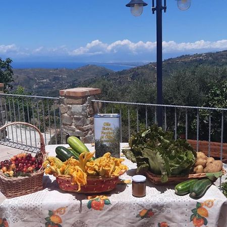 Agriturismo Gli Antichi Sapori - Con Stazione Di Ricarica Veicoli Elettrici Vatolla Ngoại thất bức ảnh