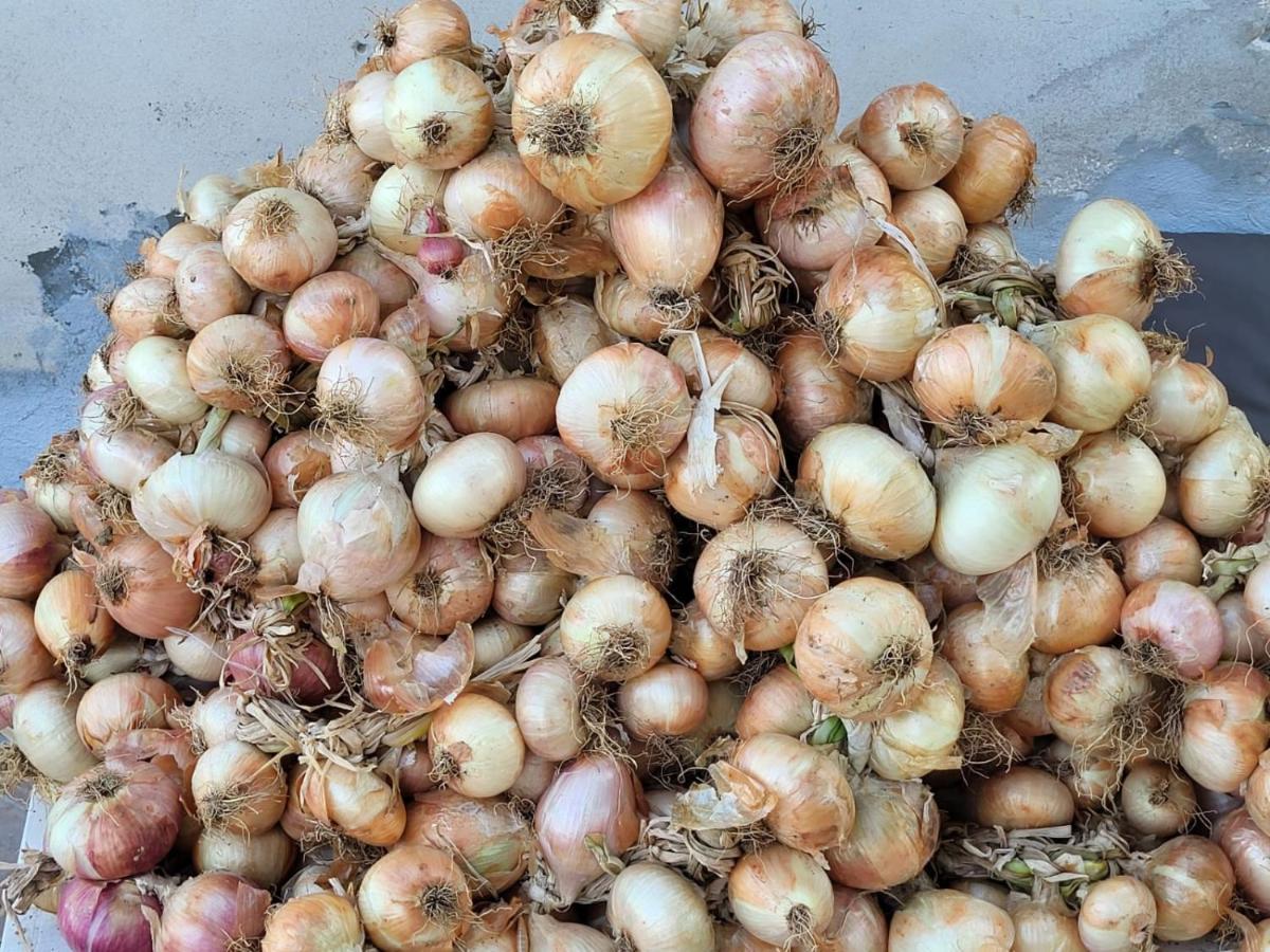 Agriturismo Gli Antichi Sapori - Con Stazione Di Ricarica Veicoli Elettrici Vatolla Ngoại thất bức ảnh